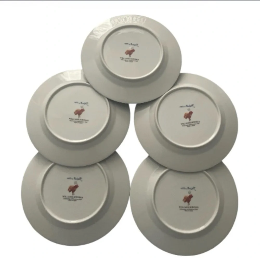 Williams Sonoma Salad Plates - Set of 6 Boxed (Only 5 Included) - Made in Japan